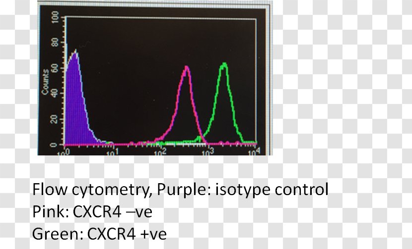 Flow Cytometry CXCR4 Lymphocyte Antibody Blood - Area - Mcf7 Transparent PNG