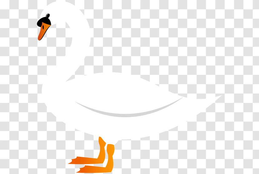 Duck Goose Clip Art Cygnini Image - Water Bird - Cartoon Swan Transparent PNG
