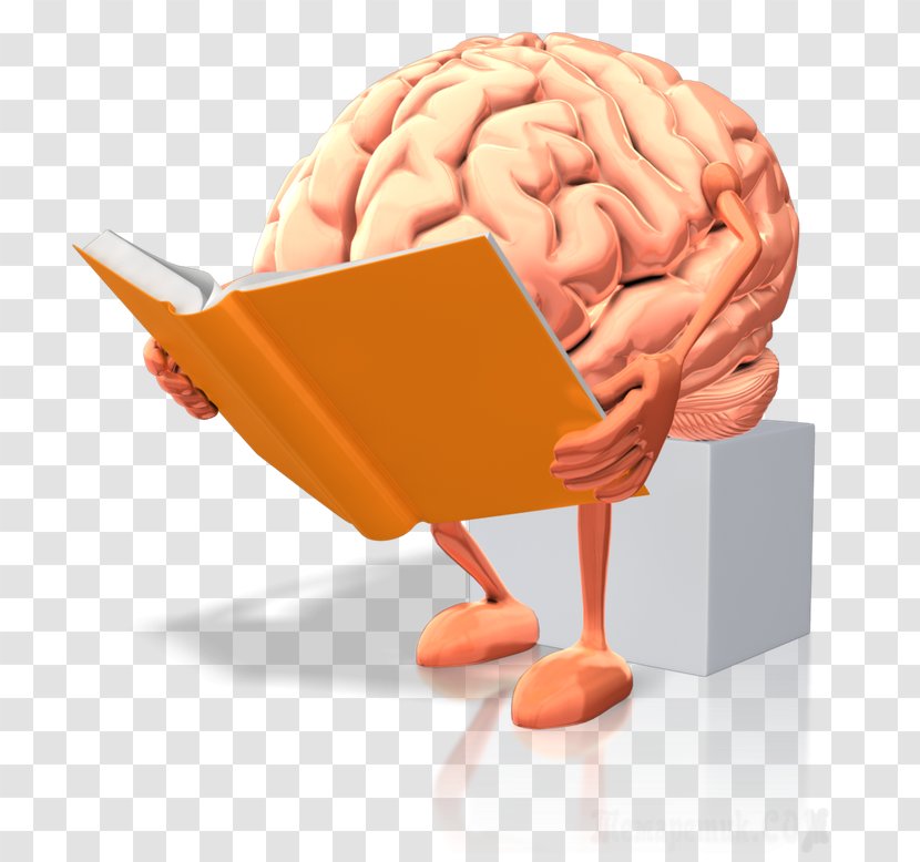 Human Brain Dyslexia Reading Rules - Tree Transparent PNG
