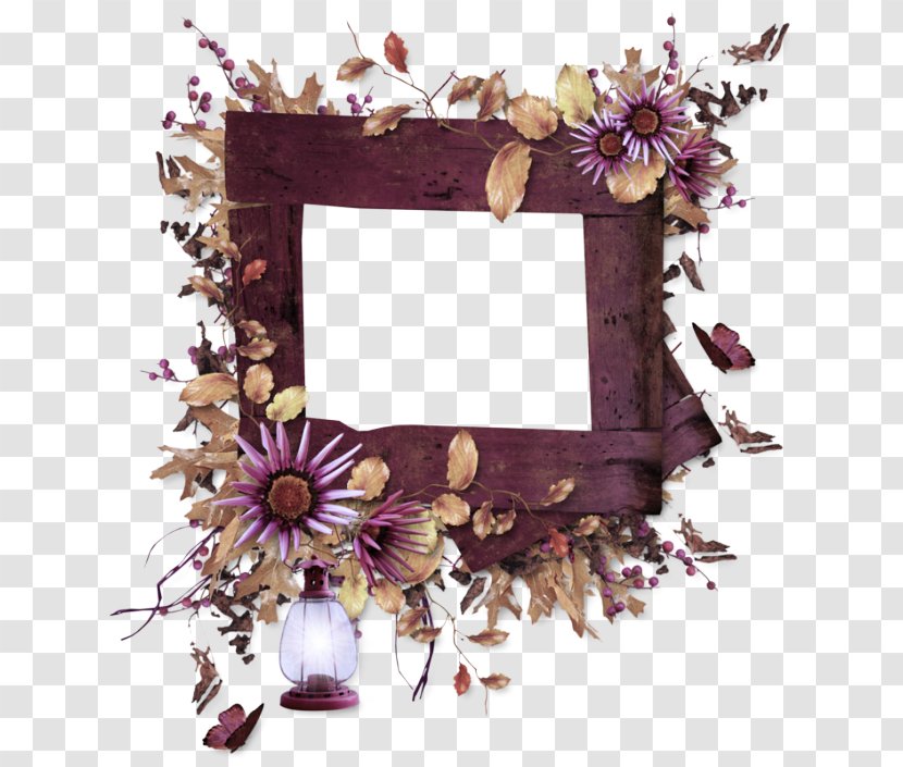 Picture Frame - Twig - Mirror Transparent PNG