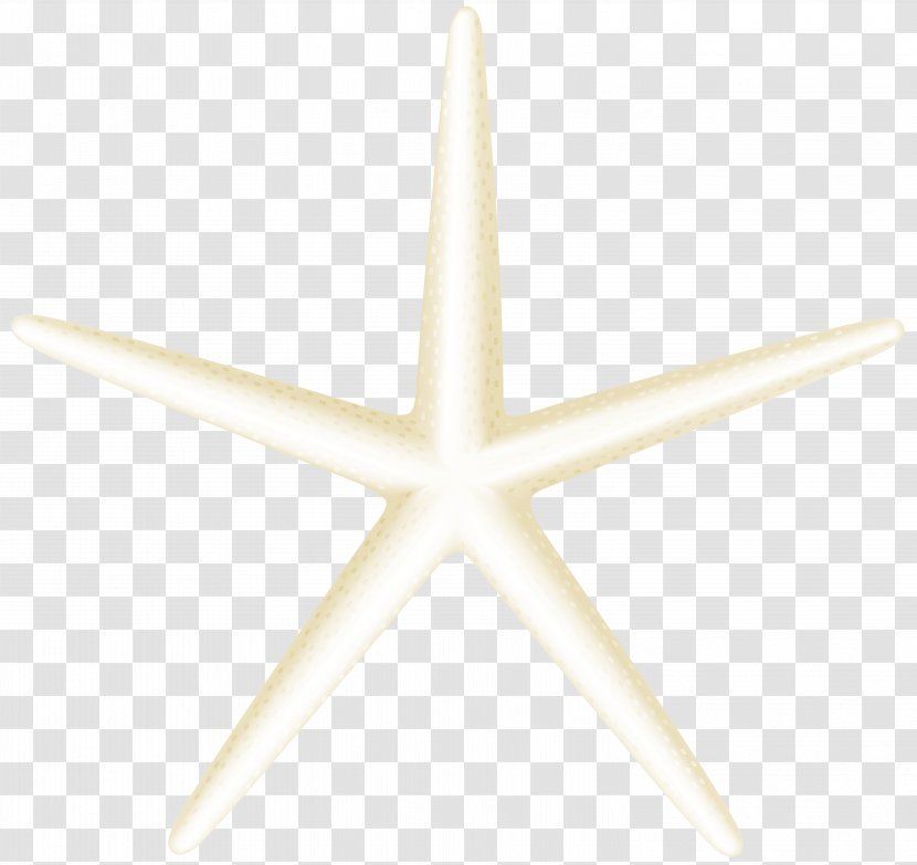 Star Angle Pattern - Starfish Transparent Clip Art Image Transparent PNG