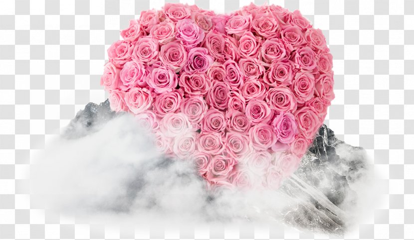 Garden Roses Valentine's Day Pink Idea - Heart - Valentines Transparent PNG