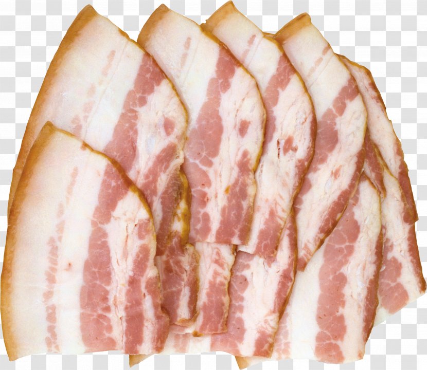 Bacon Meat Pork - Watercolor Transparent PNG