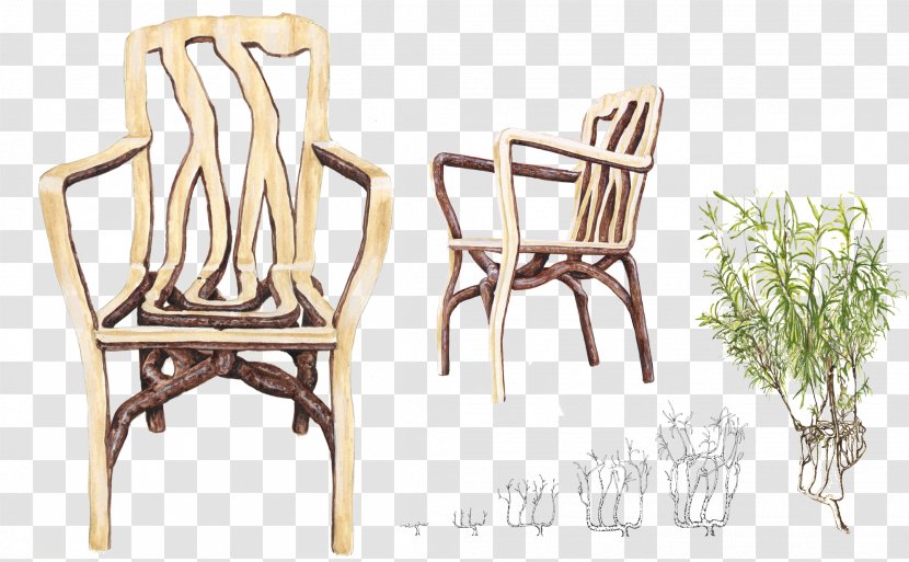 Chair Furniture Tree Designer - Apartment Transparent PNG