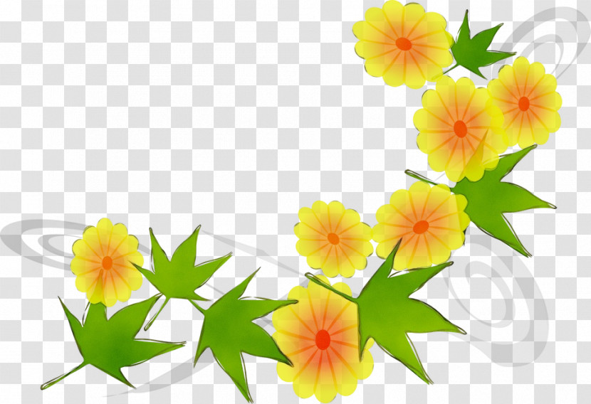 Floral Design Transparent PNG