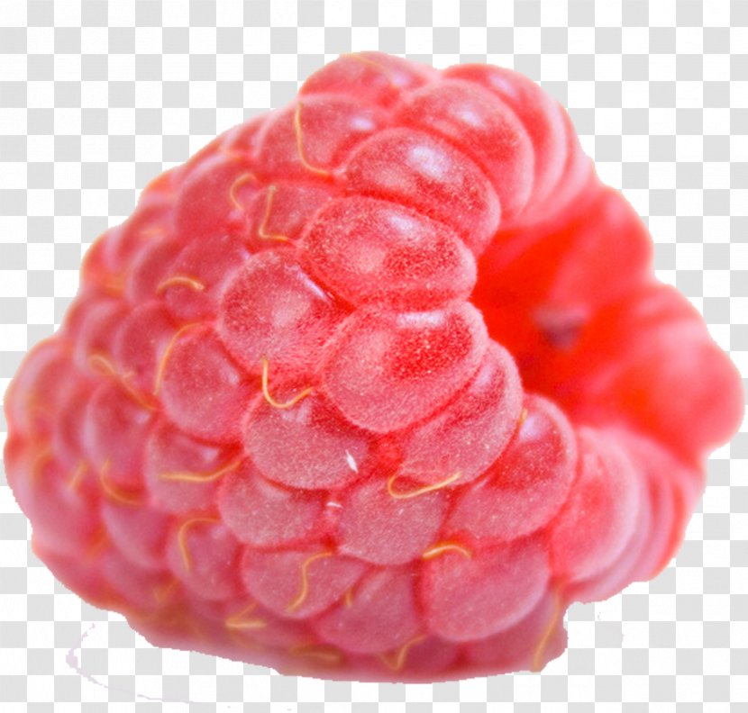 Red Raspberry Fruit Auglis Mxfbre Transparent PNG