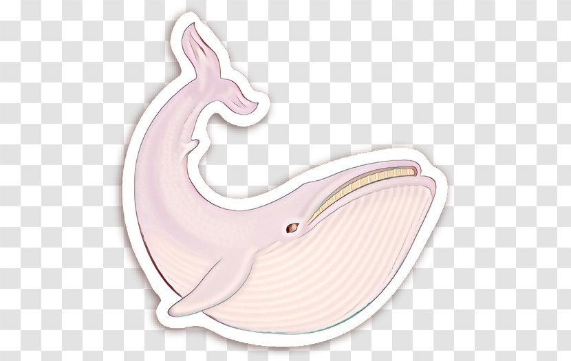 Whale Cartoon - Nose - Sticker Transparent PNG