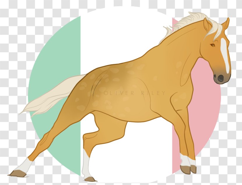 Foal Mane Stallion Mare Mustang - Mammal Transparent PNG