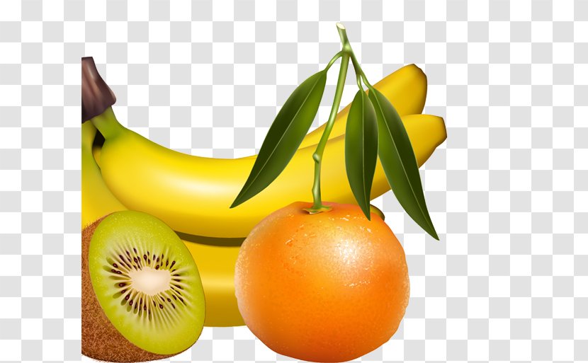Juice Tropical Fruit Realism - Diet Food - Kiwi Banana Orange Transparent PNG