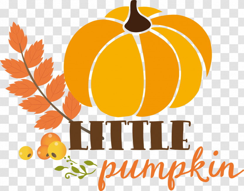 Little Pumpkin Thanksgiving Autumn Transparent PNG