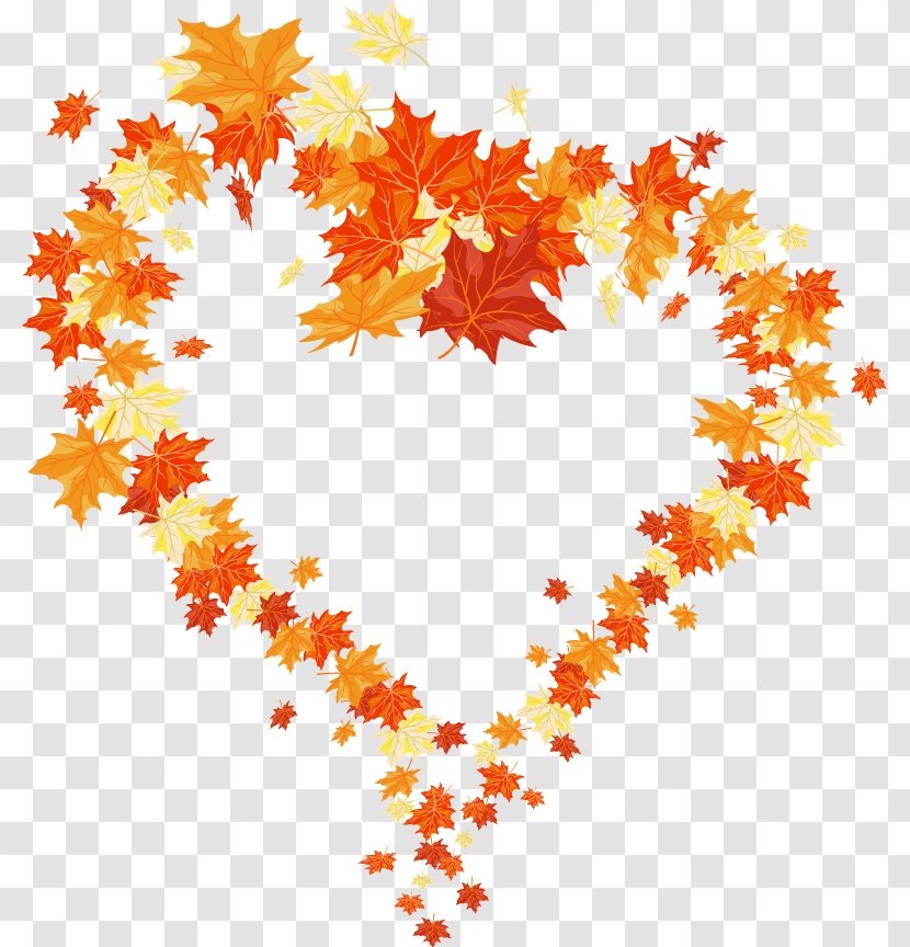 Autumn Leaf Color Heart - Petal - Leaves Transparent PNG
