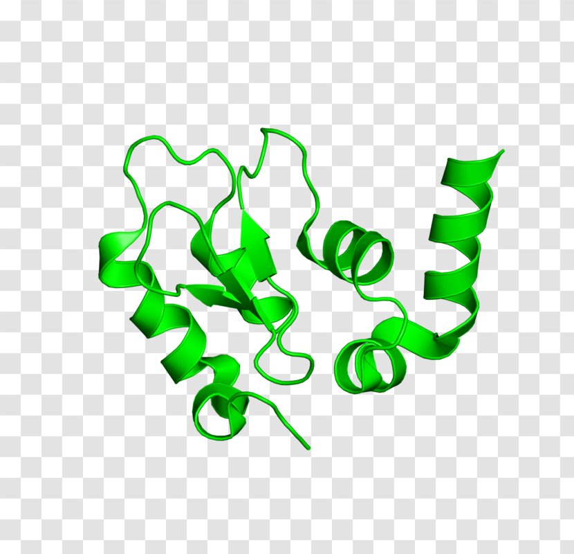 Logo Clip Art - Green - Design Transparent PNG