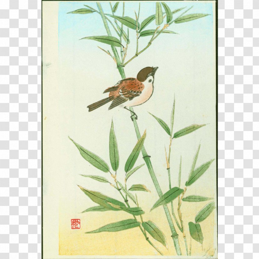 Woodblock Printing Woodcut Japanese Art - Sparrow - Branch Transparent PNG