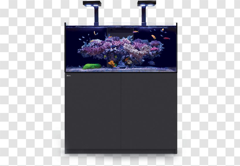 Aquarium Lighting Nutrient Reef Recipe - Sea Transparent PNG