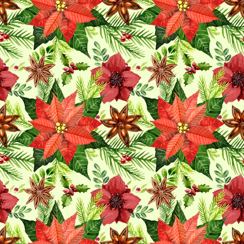 Poinsettia Flower Christmas - Evergreen - Red Seamless Background Vector Material Transparent PNG