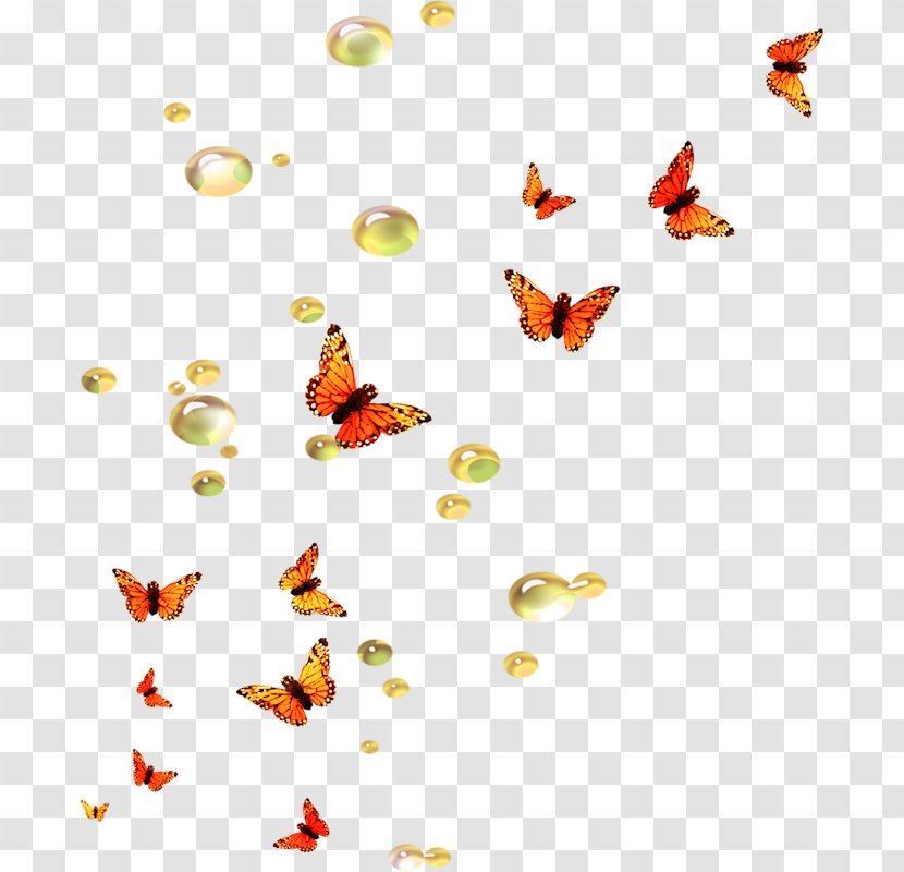 Butterfly Desktop Wallpaper Moth Bird - Organism Transparent PNG