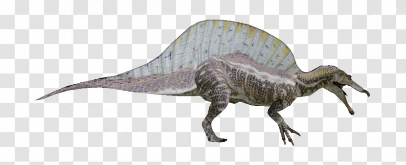 Tyrannosaurus Spinosaurus Kaprosuchus Pachyrhinosaurus Dinosaur Size - Balaur Transparent PNG
