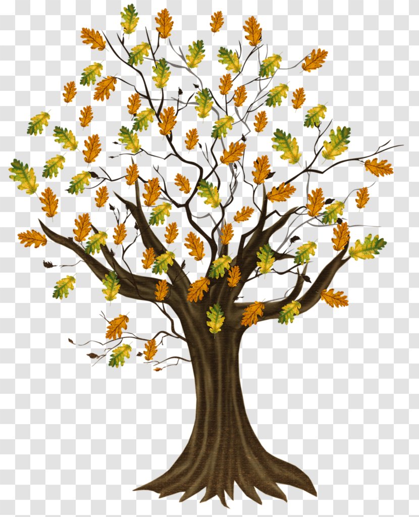 Treelet Leaf Trunk Woody Plant - Autumn Transparent PNG