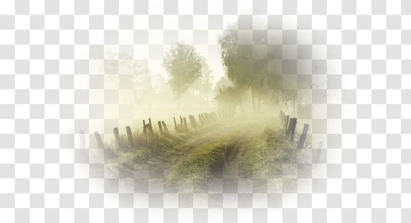 Desktop Wallpaper English Road Farm Wonderland - Fog - Stock Photography Transparent PNG
