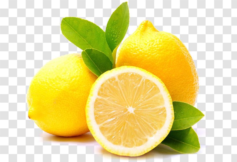 Citrus Persian Lime Lemon Natural Foods Citric Acid - Citron Lemonlime Transparent PNG