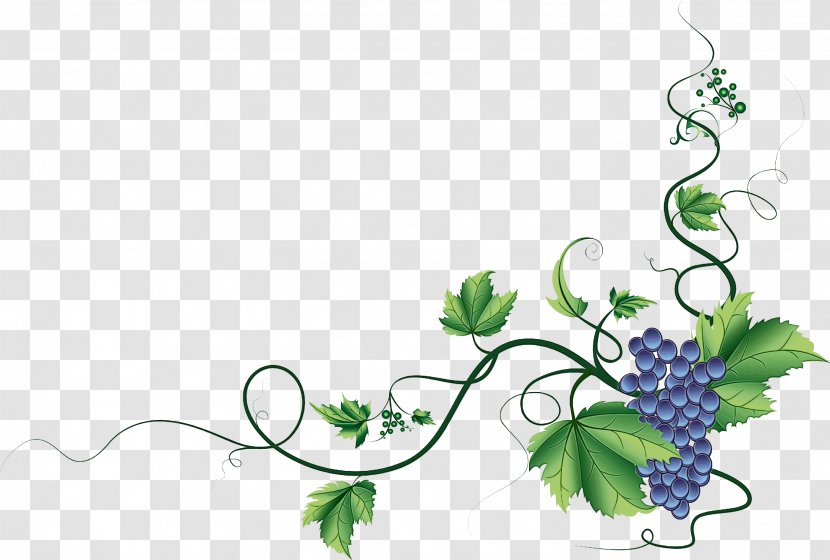 Floral Flower Background - Branch - Ivy Family Design Transparent PNG