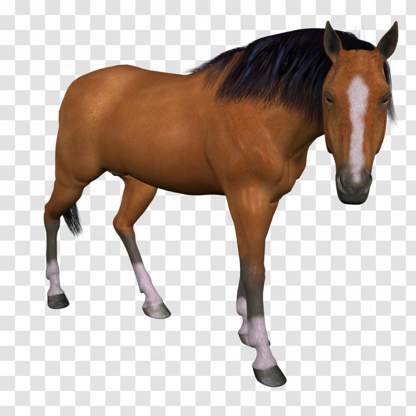 Horse Animal Ve - Rein Transparent PNG