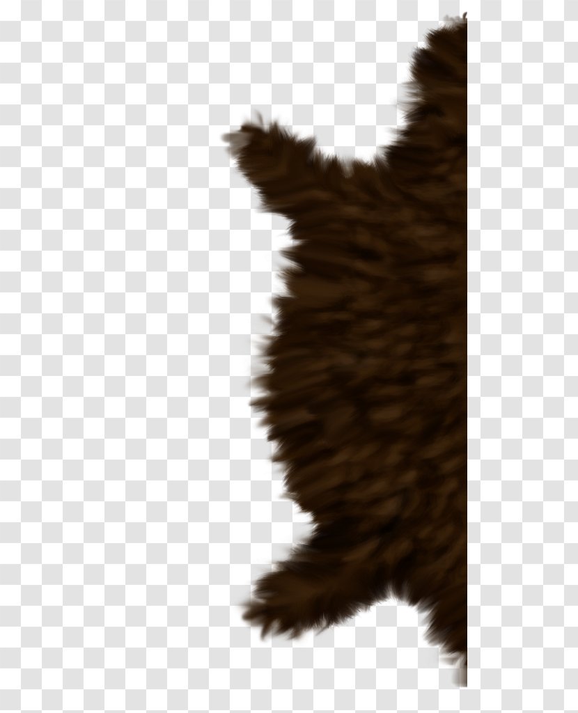 Beak Feather Snout Fur Tail - BEARSKIN Transparent PNG