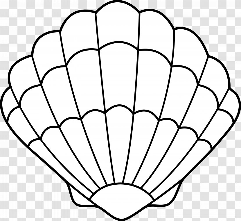 Clam Seashell Drawing Clip Art - Ariel Outline Cliparts Transparent PNG