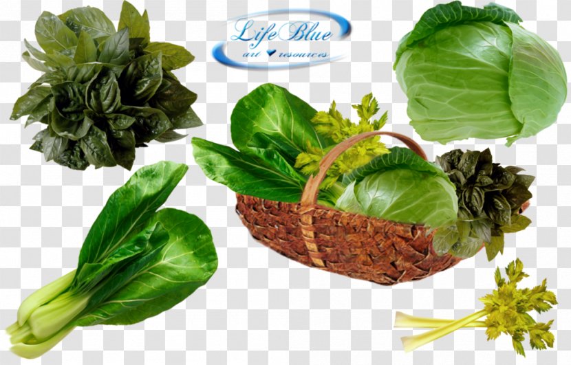 Leaf Vegetable Food - Plant - Vegetables Transparent PNG