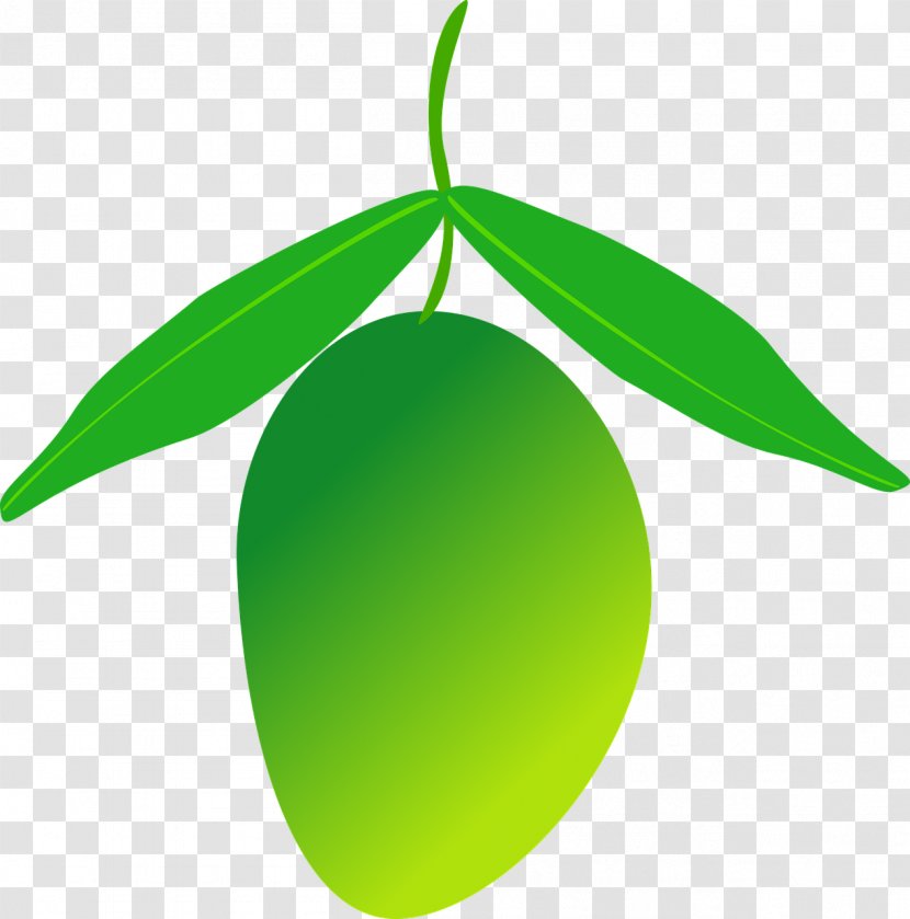 Fruit Mango - Green Transparent PNG