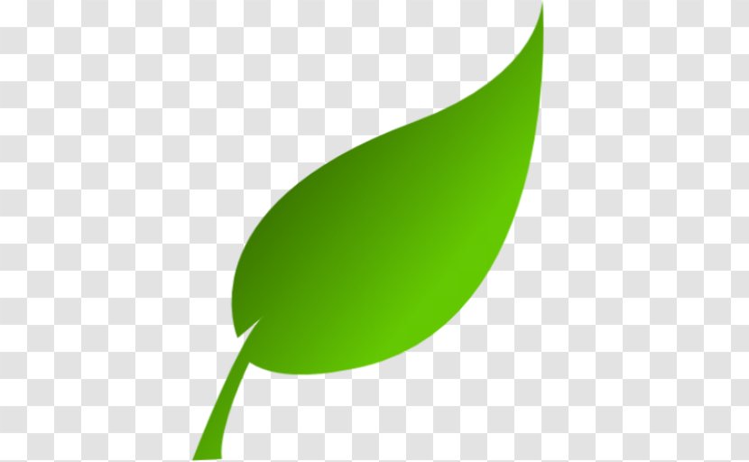 Health Service Crop Business Fat - Resource - Green Apple Slice Transparent PNG