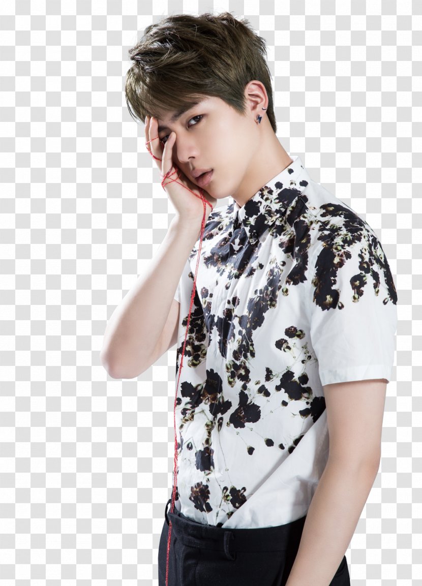 Jin BTS Best Of Me The Most Beautiful Moment In Life, Part 1 Korean Idol - Neck - Butterfly Transparent PNG