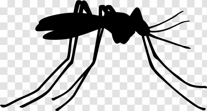 Mosquito Control Insect Pest Vector - Flower Transparent PNG