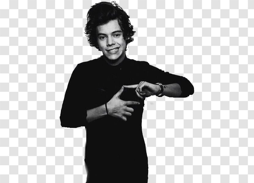 Harry Styles One Direction Photo Shoot Photography - Flower Transparent PNG