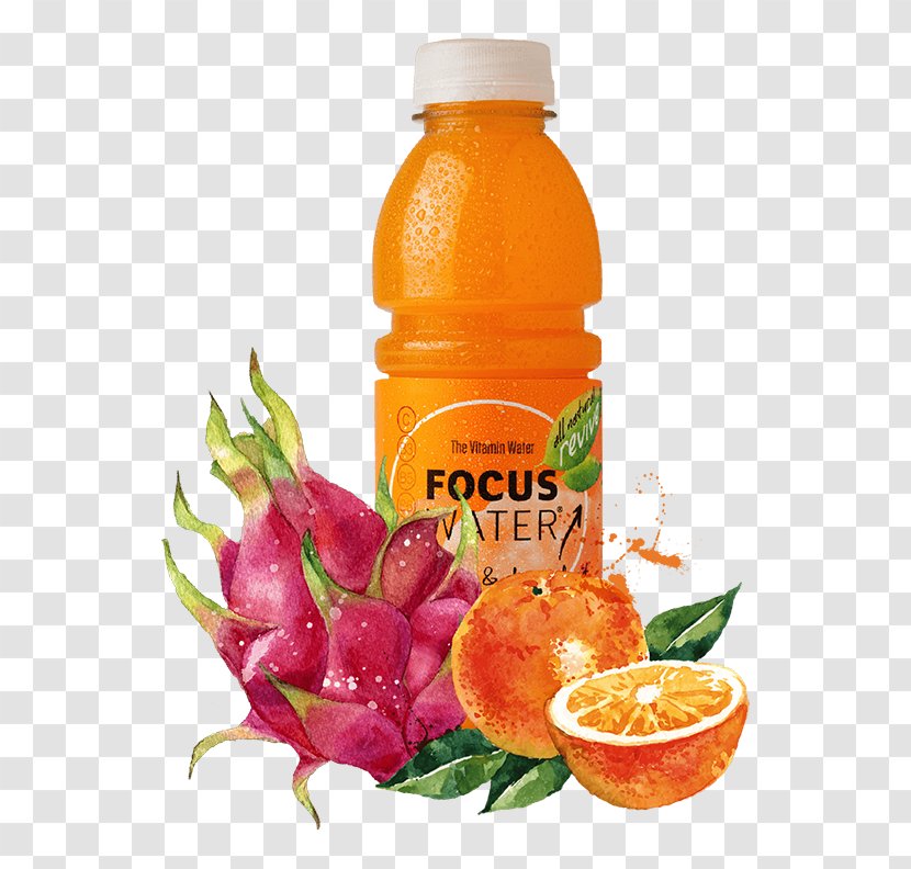 Orange Drink Fruit Pitaya Royalty-free - Citric Acid - Water Transparent PNG