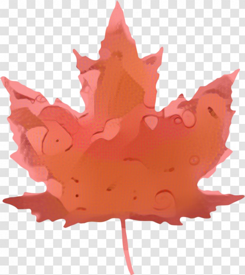 Canada Maple Leaf - General Election - Black Soapberry Family Transparent PNG