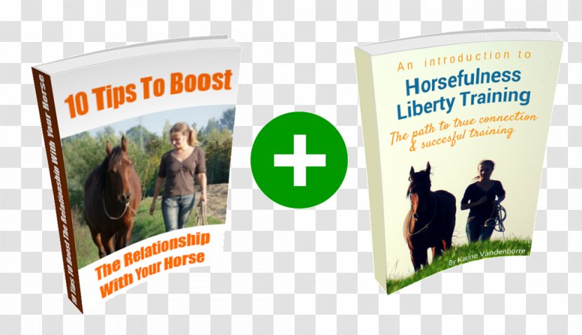 Horse Training The Art Of Liberty For Horses: Attain New Levels Leadership, Unity, Feel, Engagement, And Purpose In All That You Do With Your Rein Equestrian - Banner Transparent PNG