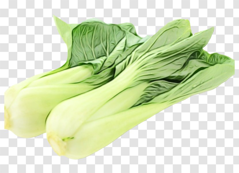 Vegetable Food Leaf Plant Chinese Cabbage - Cruciferous Vegetables Choy Sum Transparent PNG