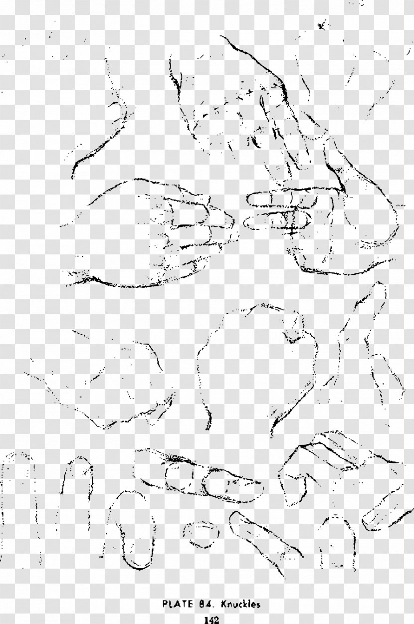 Drawing The Head And Hands Sketch - Nose - Hand Sketches Transparent PNG