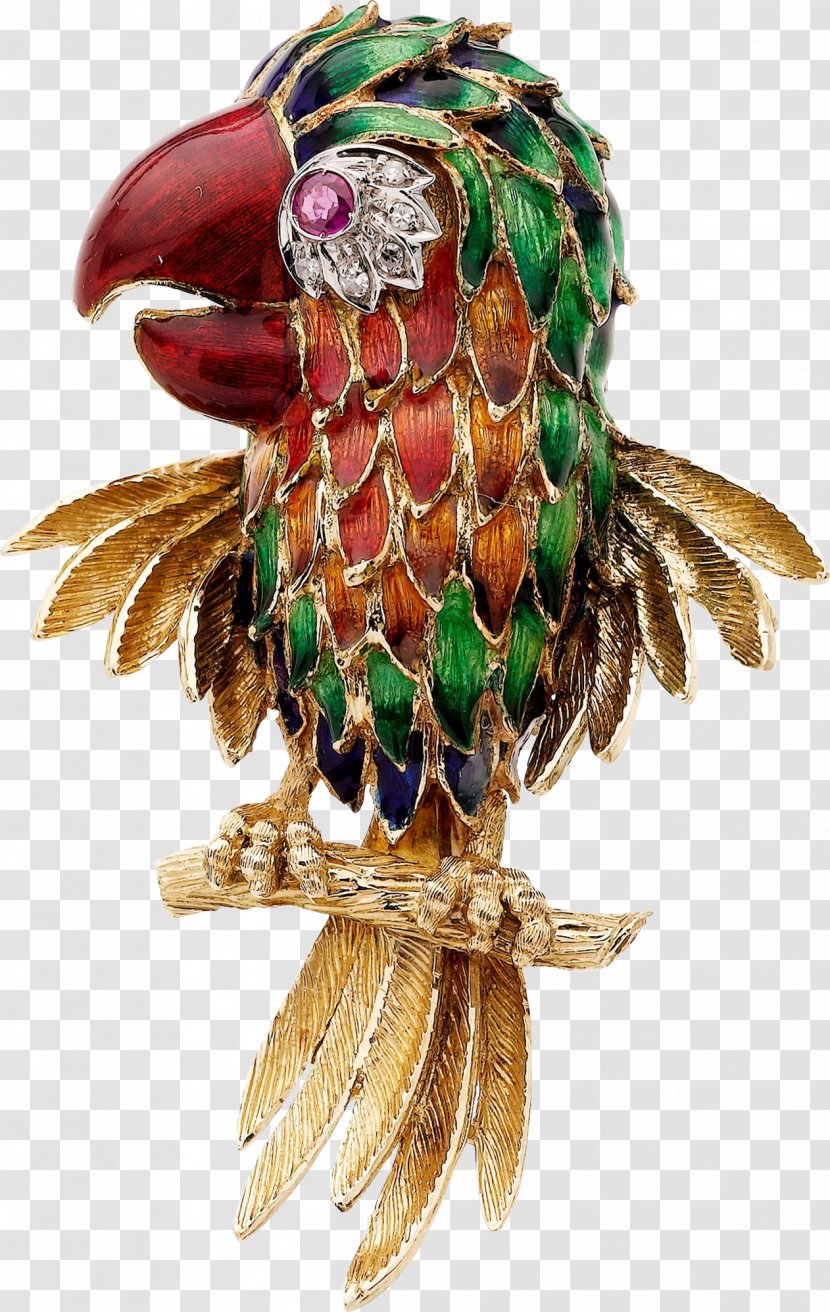 Parrot Brooch Ruby Jewellery Clip Art - Diamond Transparent PNG