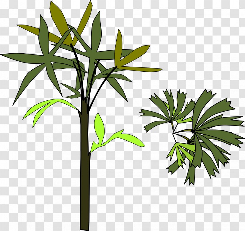 Clip Art - Plant - Palm Tree Leaves Transparent PNG