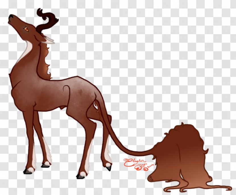 Mustang Deer Antelope Camel Pack Animal - Carnivoran Transparent PNG