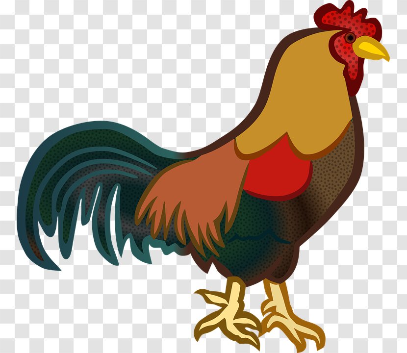 Chicken Clip Art Rooster Image Openclipart Transparent PNG