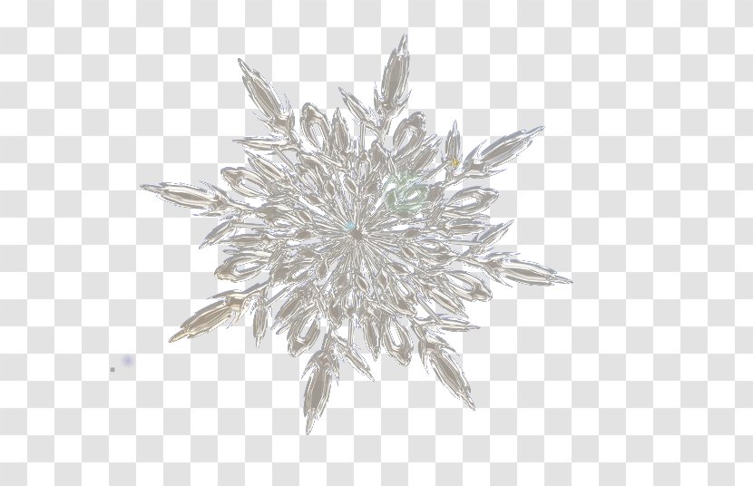 Snowflake White Crystallization - Snow - Crystalline Snowflakes Transparent PNG