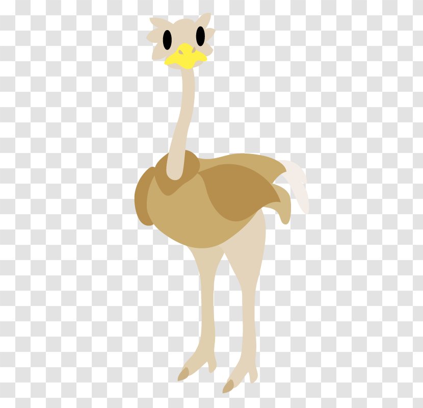 Common Ostrich Giraffe Chicken Illustration Bird - Cartoon Transparent PNG