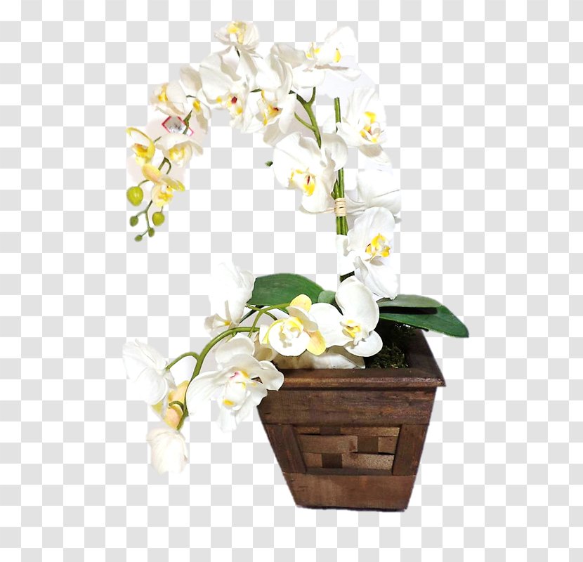 Vase Flowerpot Orchids Cut Flowers - Yellow - Madeira Transparent PNG