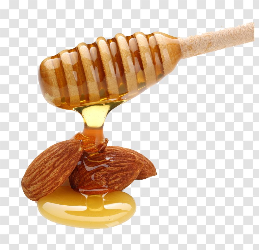 Bee Honey Ingredient Almond Biscuit Turrxf3n - Roca - Creative Photos Transparent PNG