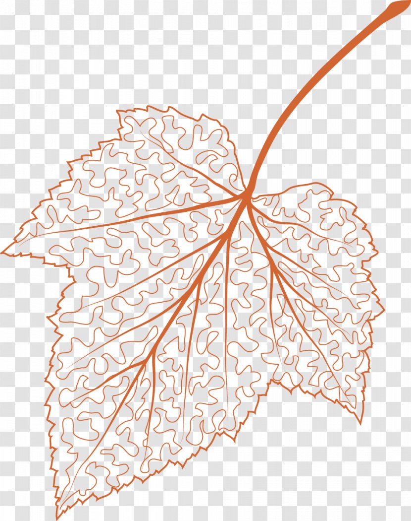 Petal Line Art Flowering Plant Leaf - Symmetry - Monday Clip Transparent PNG