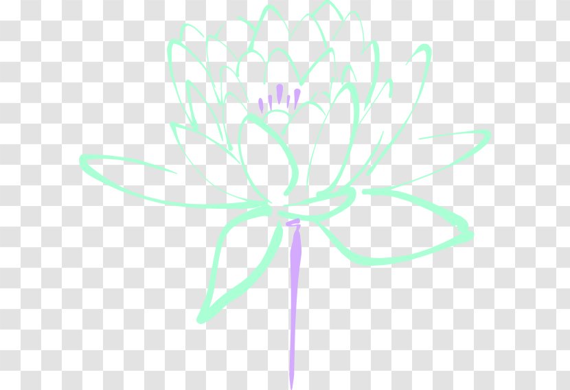 Egyptian Lotus Flower Nelumbo Nucifera Clip Art - Mint Flowers Transparent PNG