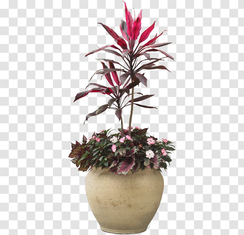 Houseplant Flowerpot - Tree - Indoor Plant Potted Plants Transparent PNG
